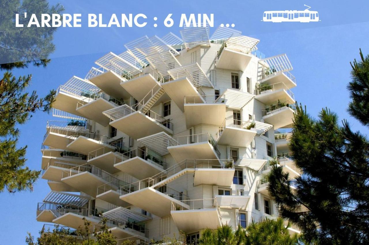 Jungle Montpeul: Urban Oasis With Fiber Wi-fi And Loggia Apartment Montpellier