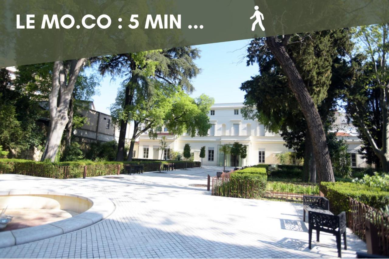 Apartment Jungle Montpeul: Urban Oasis With Fiber Wi-fi And Loggia