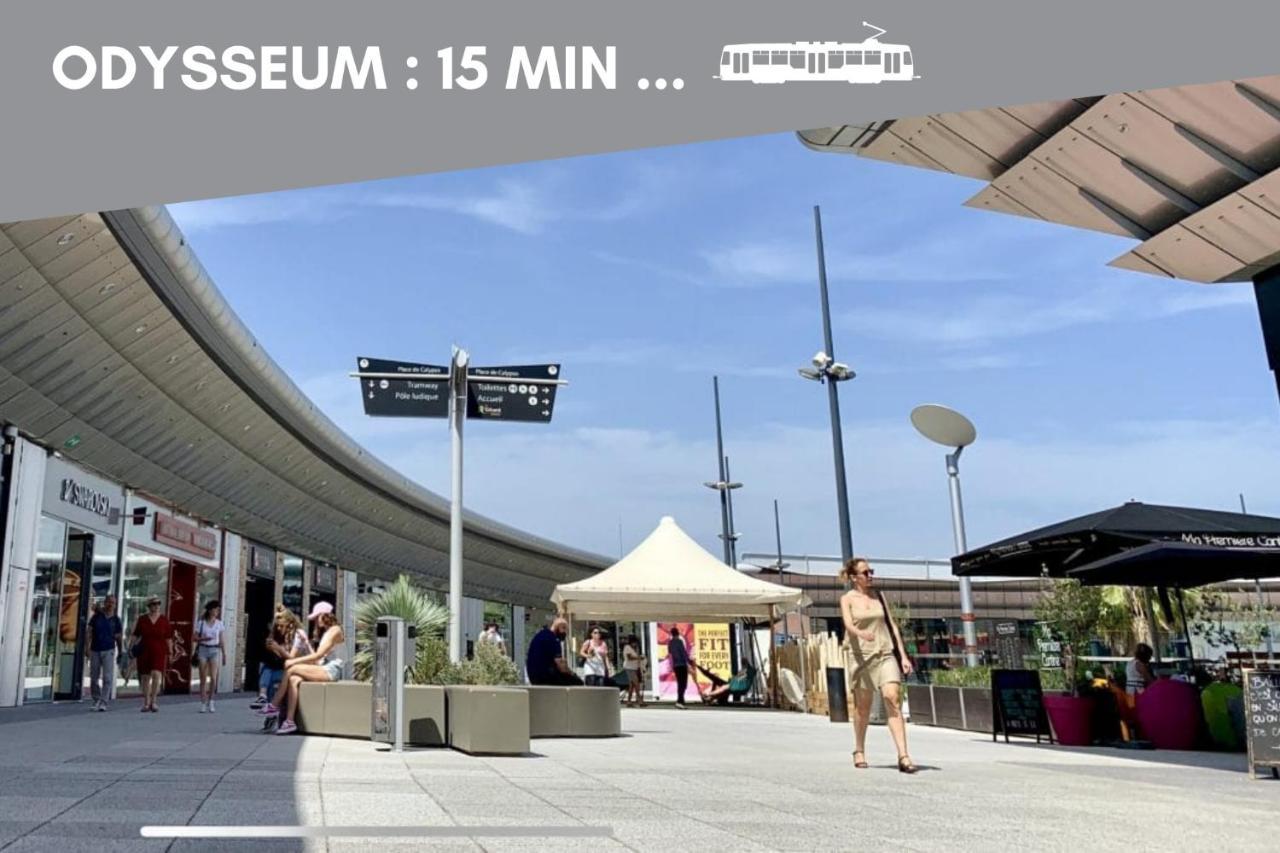 Jungle Montpeul: Urban Oasis With Fiber Wi-fi And Loggia Montpellier